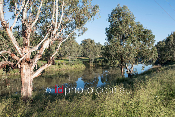 Narrabri Creek, NSW