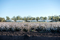 Australian Cotton Research Centre, Wee Waa, NSW