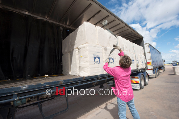 Truck driver Kerry Seaton loading cotton for transport at Namoi Cotton Co-op Gin, Mungindi