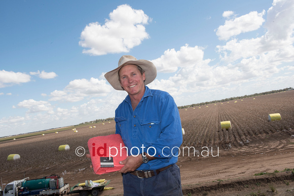 Cotton crops on property owned by Glenn Rogan near St George
