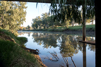 Narrabri Creek