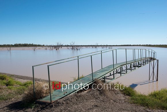 Irrigation at Trafalgar property, Dirranbandi, QLD