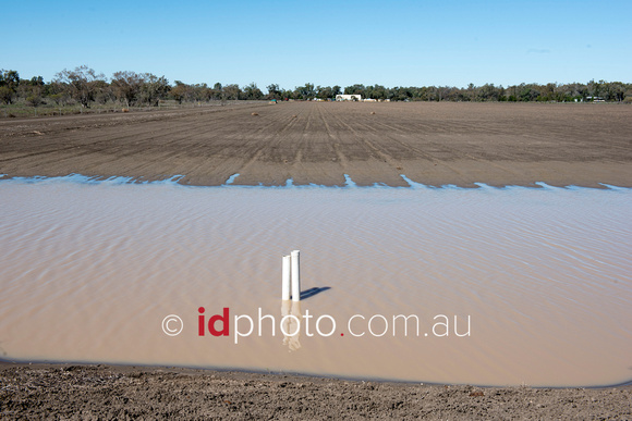 Irrigation at Trafalgar property, Dirranbandi, QLD