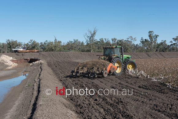Clearing finished cotton crop at Trafalgar property, Dirranbandi, QLD