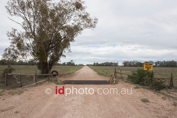 Outback road near Mungindi