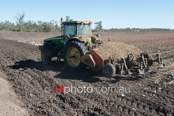 Clearing finished cotton crop at Trafalgar property, Dirranbandi, QLD