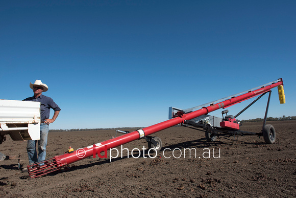 Farmer Jonathon Burrell with grain auger at Trafalgar property, Dirranbandi, QLD